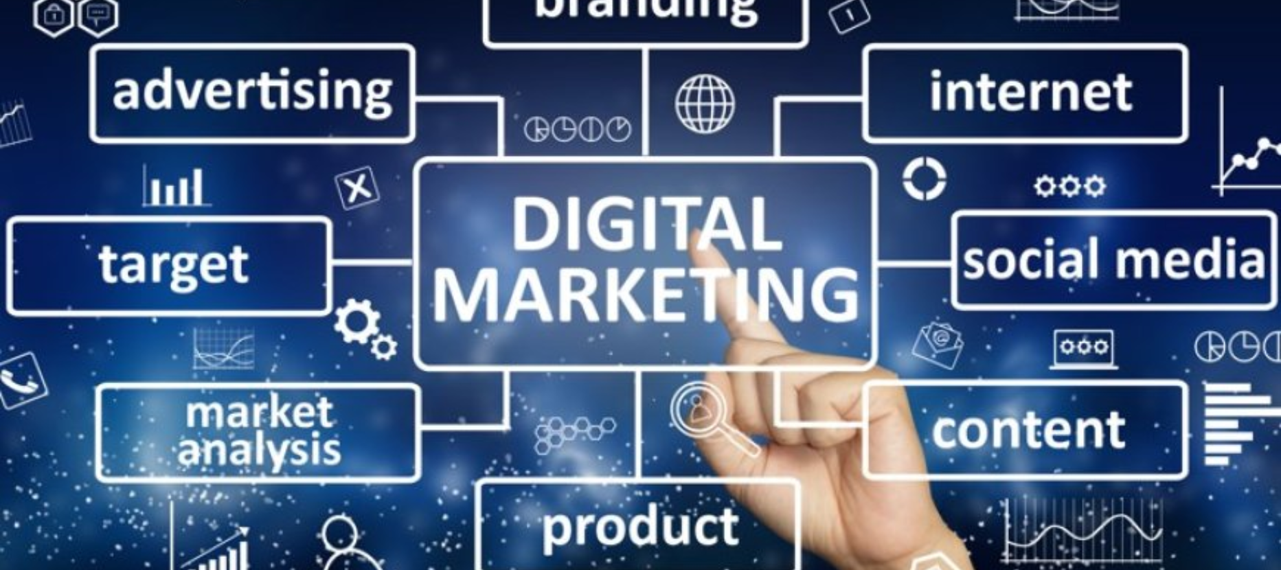 brandpulsemedia